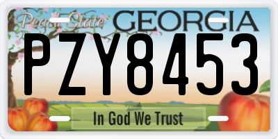 GA license plate PZY8453