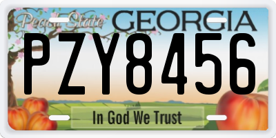 GA license plate PZY8456