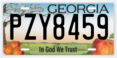 GA license plate PZY8459