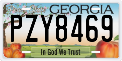 GA license plate PZY8469