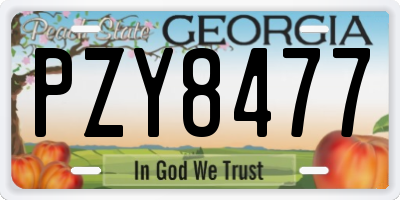 GA license plate PZY8477