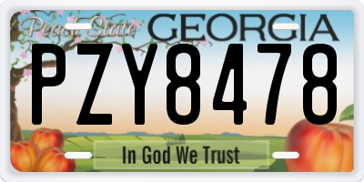 GA license plate PZY8478