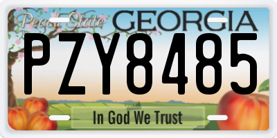 GA license plate PZY8485
