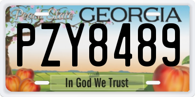 GA license plate PZY8489