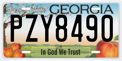 GA license plate PZY8490