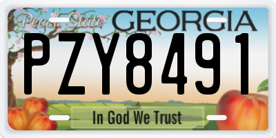 GA license plate PZY8491