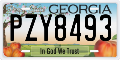 GA license plate PZY8493
