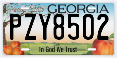 GA license plate PZY8502