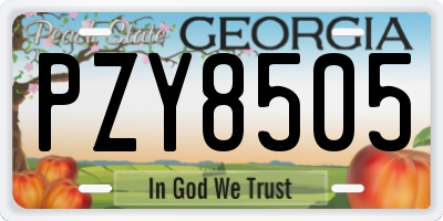GA license plate PZY8505