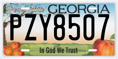 GA license plate PZY8507