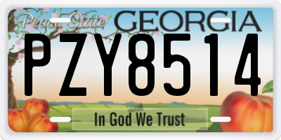 GA license plate PZY8514