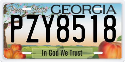 GA license plate PZY8518