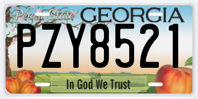 GA license plate PZY8521