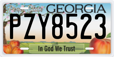 GA license plate PZY8523