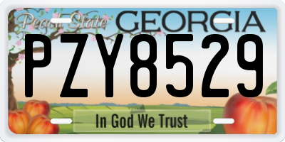 GA license plate PZY8529