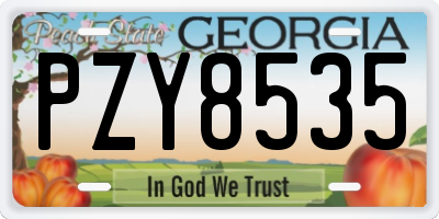 GA license plate PZY8535