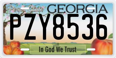 GA license plate PZY8536