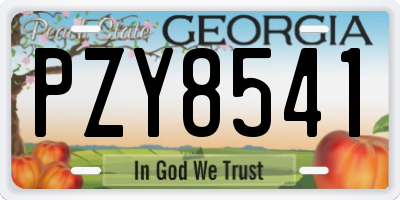 GA license plate PZY8541