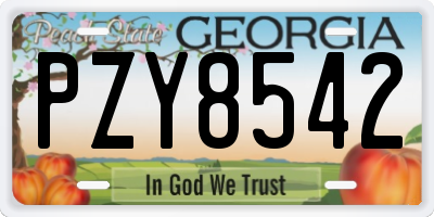 GA license plate PZY8542