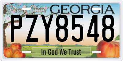 GA license plate PZY8548