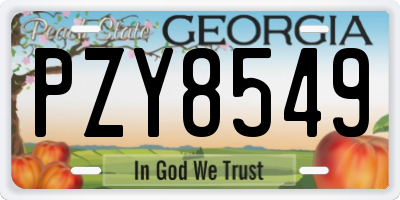 GA license plate PZY8549