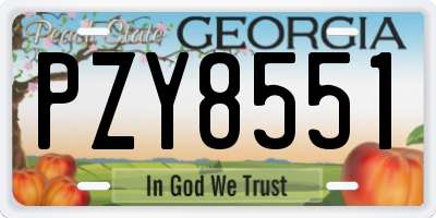 GA license plate PZY8551