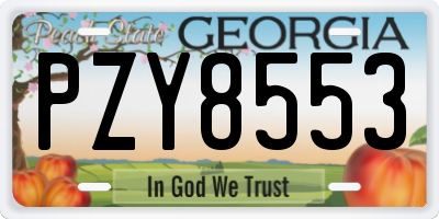 GA license plate PZY8553