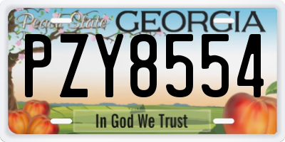 GA license plate PZY8554