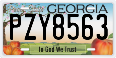 GA license plate PZY8563