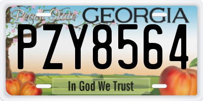 GA license plate PZY8564