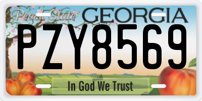 GA license plate PZY8569