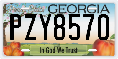 GA license plate PZY8570