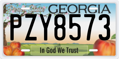 GA license plate PZY8573