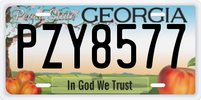 GA license plate PZY8577