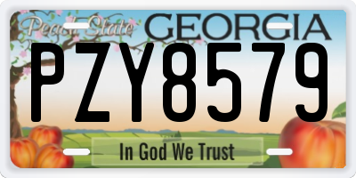 GA license plate PZY8579