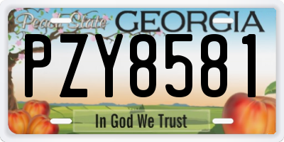 GA license plate PZY8581