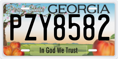 GA license plate PZY8582
