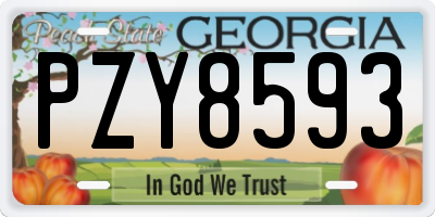 GA license plate PZY8593