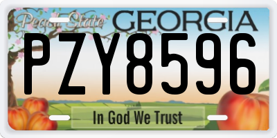 GA license plate PZY8596