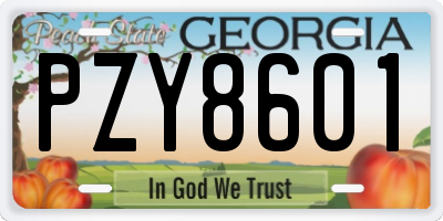 GA license plate PZY8601