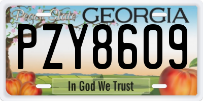 GA license plate PZY8609