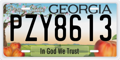 GA license plate PZY8613