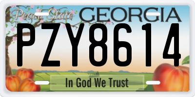 GA license plate PZY8614