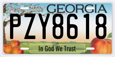 GA license plate PZY8618