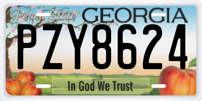 GA license plate PZY8624