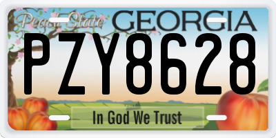 GA license plate PZY8628