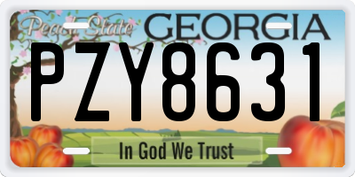 GA license plate PZY8631