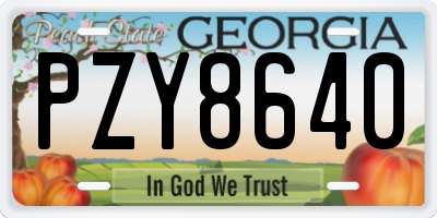 GA license plate PZY8640