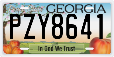 GA license plate PZY8641