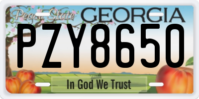 GA license plate PZY8650